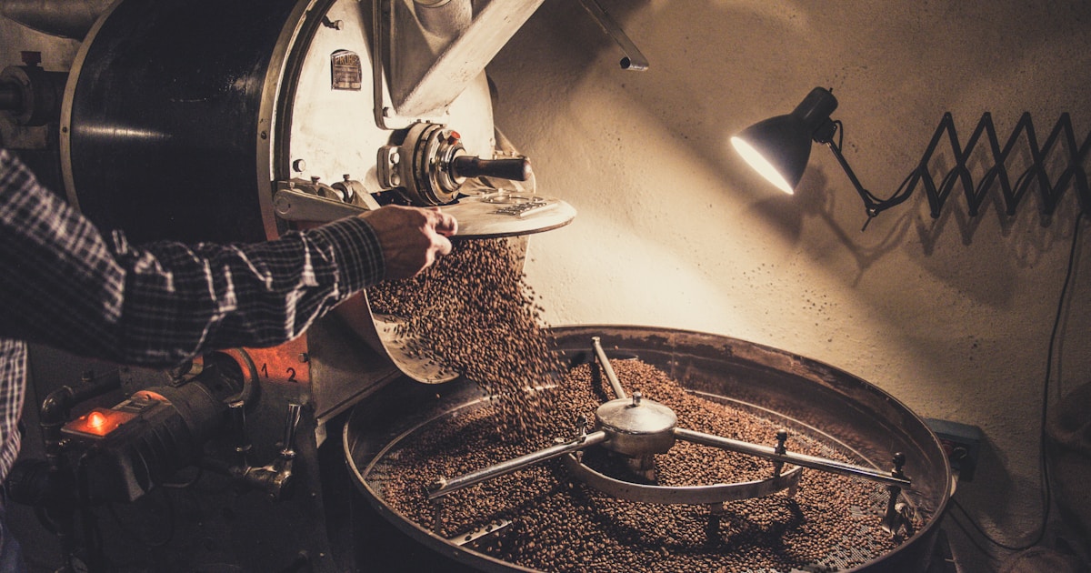 生豆選購完全指南：從產地認證到杯測分數，你必須看的8個關鍵指標